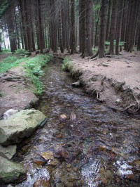 Potok, který teče do kopce v Údolí ztracených štol