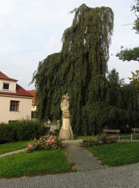 socha sv.Ignáce
