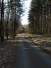 cesta lesem k Pinduli