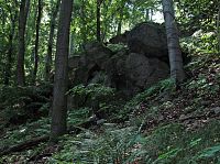 drobový skalní výchoz v lese