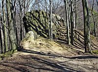 skalisko Čertův kámen a areál bývalého hradu