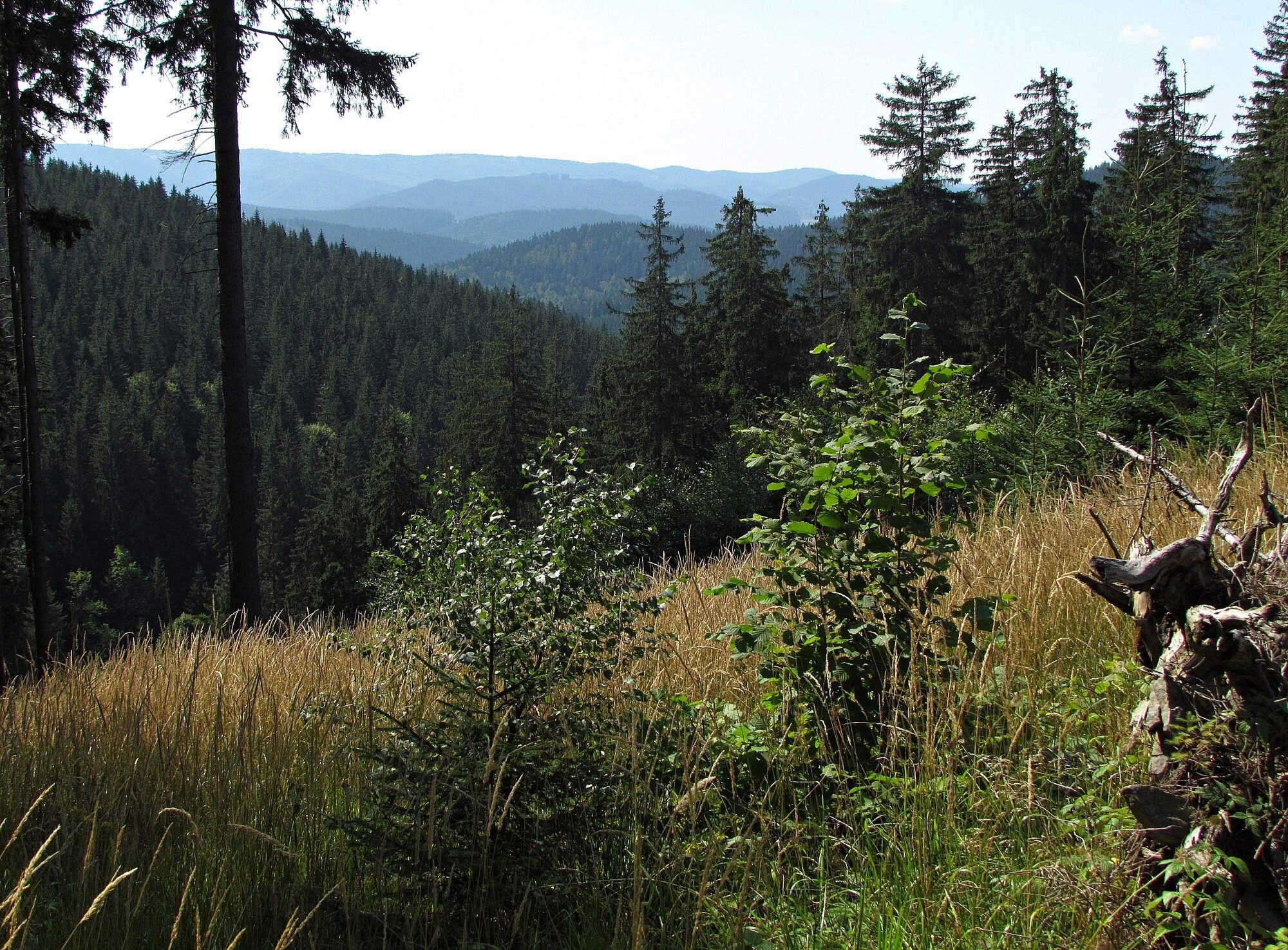 Krajina nad Třeštíkem Zajímavost Turistika cz