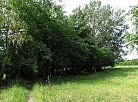 Příhrazské skály - Trhlinová propast pod Mužským