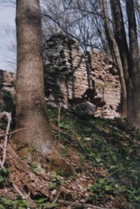 Hradní ruiny