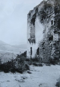 Hradní ruiny