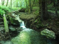 vodopádek v údolí mezi Mladějovem a Libinou