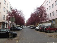 ulice Sadová