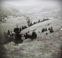 Pulčínské údolí téměř před 40 lety