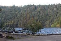 Šumava Černé a Čertovo jezero