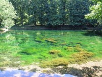 Vrelo Bosne