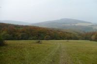 Pohled z Kubíkova vrchu