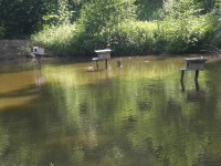 chovný rybník Jehnice