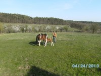 nový přírůstek na ranči v Ořešíně