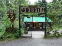 Arboretum v Lądku-Zdroju