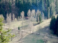 Pohled do Krkavčího údolí na místo s přístřeškem, informačními tabulemi a ohništěm, které prozrazuje stoupající dým