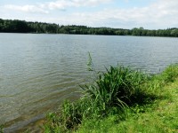 Horní rybník z jihovýchodního břehu