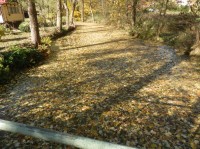 Řeka Javorka plná spadaného listí