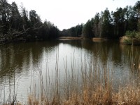 Pohled na rybník z hráze