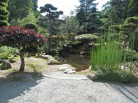 V japonské zahradě