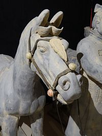 Detail koně