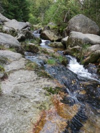 Koryto potoka nad přepadovou hranou hlavního vodopádu