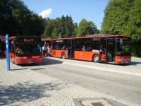 Autobusy na Hinterecku