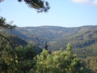 Pohled do údolí a na Dubský les