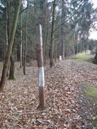 Českopolská hranice u přírodní rezervace Hraniční louka