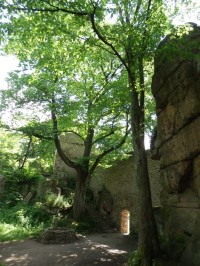 Starověká studna a letité stromy na původním nádvoří