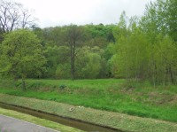 Pohled na vyčnívající rozhlednu od potoka Młynówka