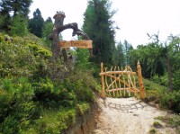 Zirbenweg – stezka borovým lesem na svahu Graukogelu
