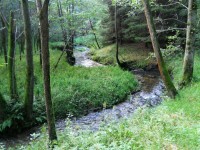Veverský potok
