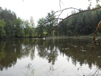 Kamenný rybník