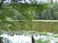 Hejškův rybník