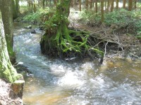 Potok Valcha