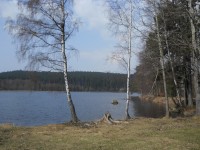 Velký pařezitý rybník - Štamberk - Javořice - Studánka Páně - Míchova skála - Velký pařezitý rybník