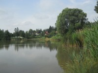 Rybník Machčák u Třebušína