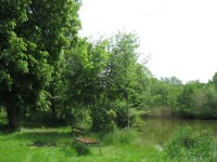 Zámecký rybník