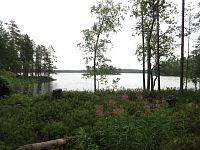 Finsko - národní park Salamajärvi