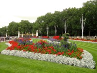 Park u Buckinghamského paláce
