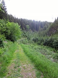 Údolí Prunéřovského potoka