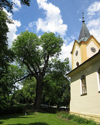 Kytín - kostel Nanebevzetí Panny Marie