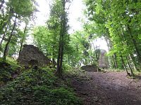 Zřícenina hradu Chřenovice