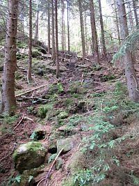 Schody na Kyjovský hrad pokračují i dále v lese
