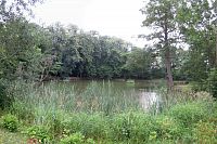 Slezské Rudoltice - zámecký rybník
