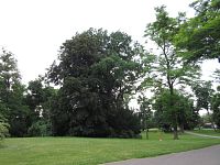 Raduň - zámecký park