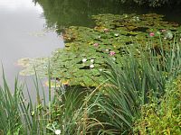 Horní rybník