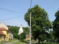 Luleč - strom svobody z r. 1919