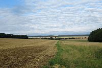 Jedeme na sever a severovýchod Moravy – 4. den - odpoledne: skoro 3 km dlouhý okruh: Březová nad Svitavou - část NS Údolím řeky Svitavy - lesní lanový park - rozhledna Járy Cimrmana – Zářečí