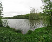 Čejetice - Nový rybník